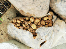 Load image into Gallery viewer, Pebbles (20 kg bag) (Gauteng only)

